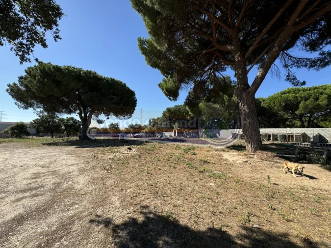 Terreno para Venda em Samora Correia Foto 9