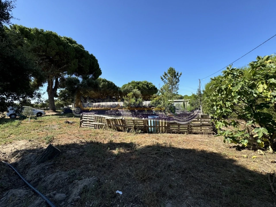 Terreno para Venda em Samora Correia Foto 5