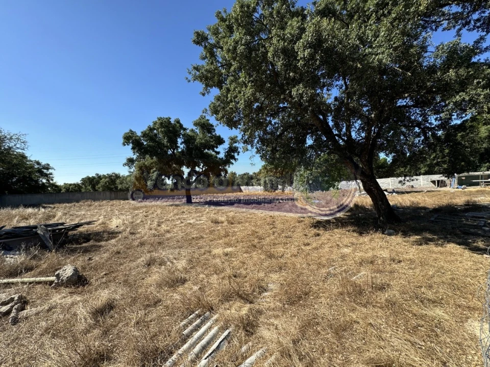 Terreno para Venda em Samora Correia Foto 14