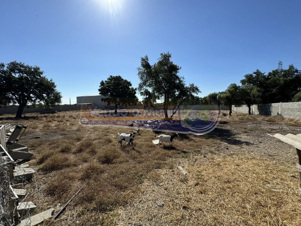 Terreno para Venda em Samora Correia Foto 15