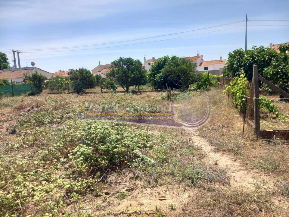Terreno para Venda em Benavente Foto 2