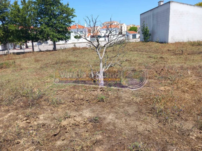 Terreno para Venda em Benavente Foto 5