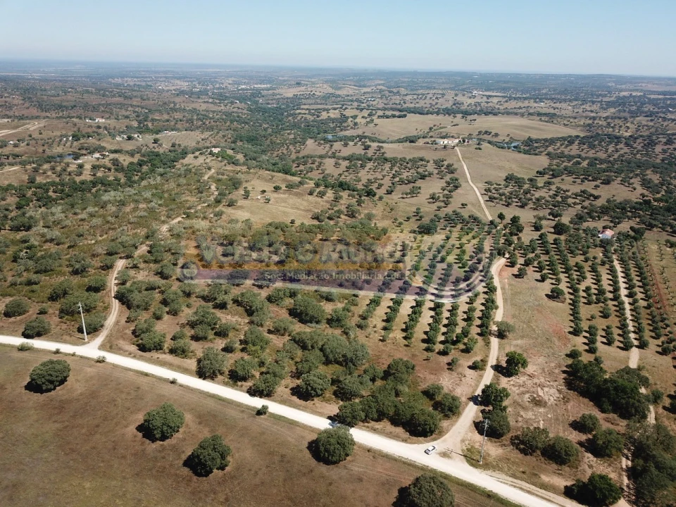 Terreno para Venda em Pavia Foto 9