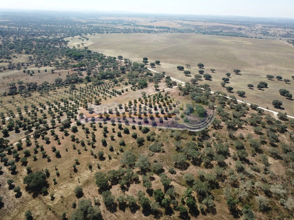 Terreno para Venda em Pavia Foto 5