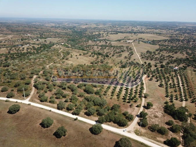 Terreno para Venda em Pavia Foto 9