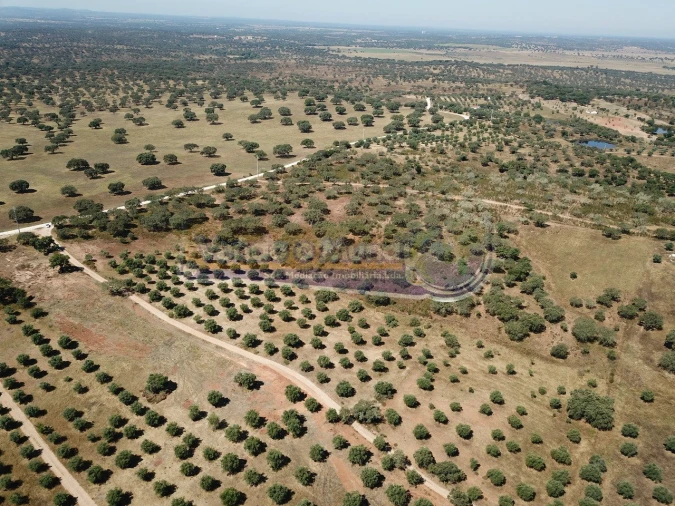 Terreno para Venda em Pavia Foto 3
