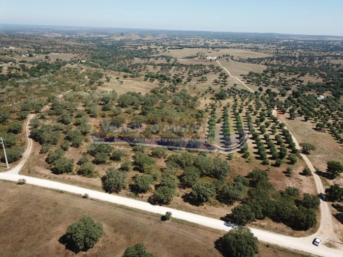 Terreno para Venda em Pavia Foto 8