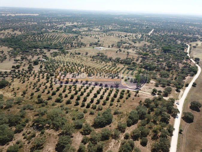 Terreno para Venda em Pavia Foto 6