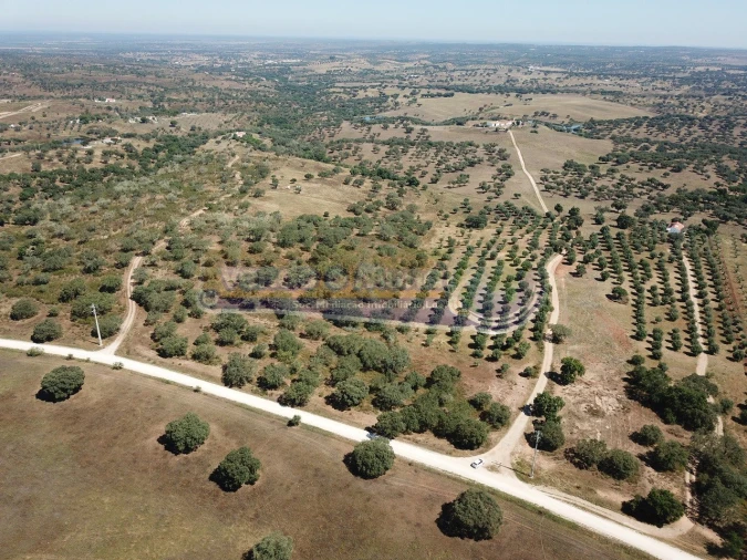 Terreno para Venda em Pavia