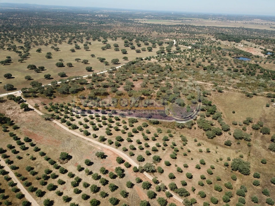 Terreno para Venda em Pavia Foto 3
