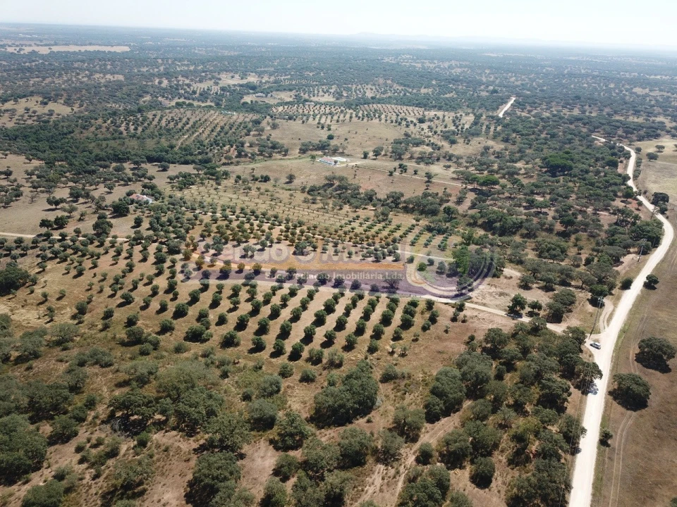 Terreno para Venda em Pavia Foto 6