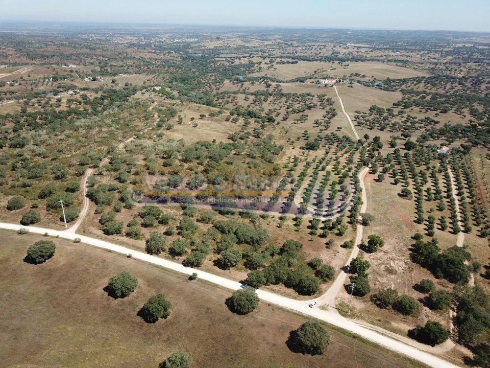 Terreno para Venda em Pavia Foto 1