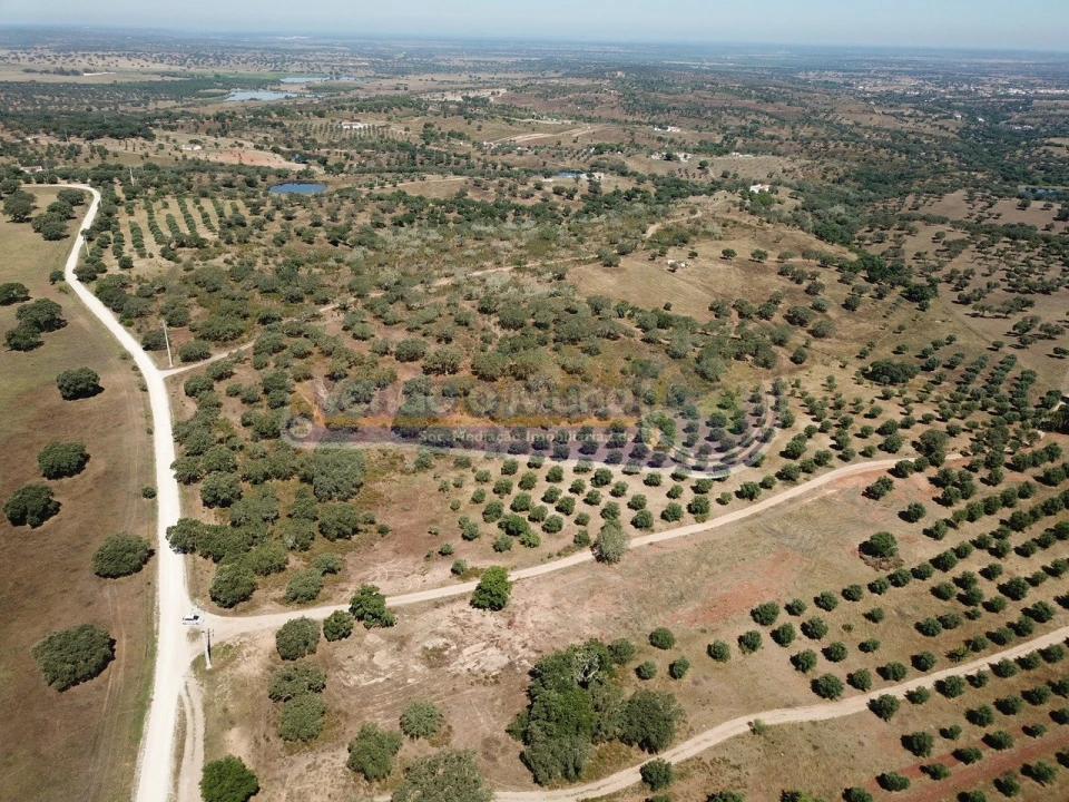 Terreno para Venda em Pavia Foto 2