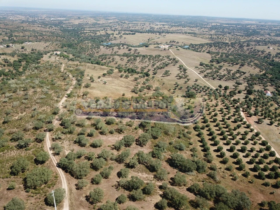 Terreno para Venda em Pavia Foto 7