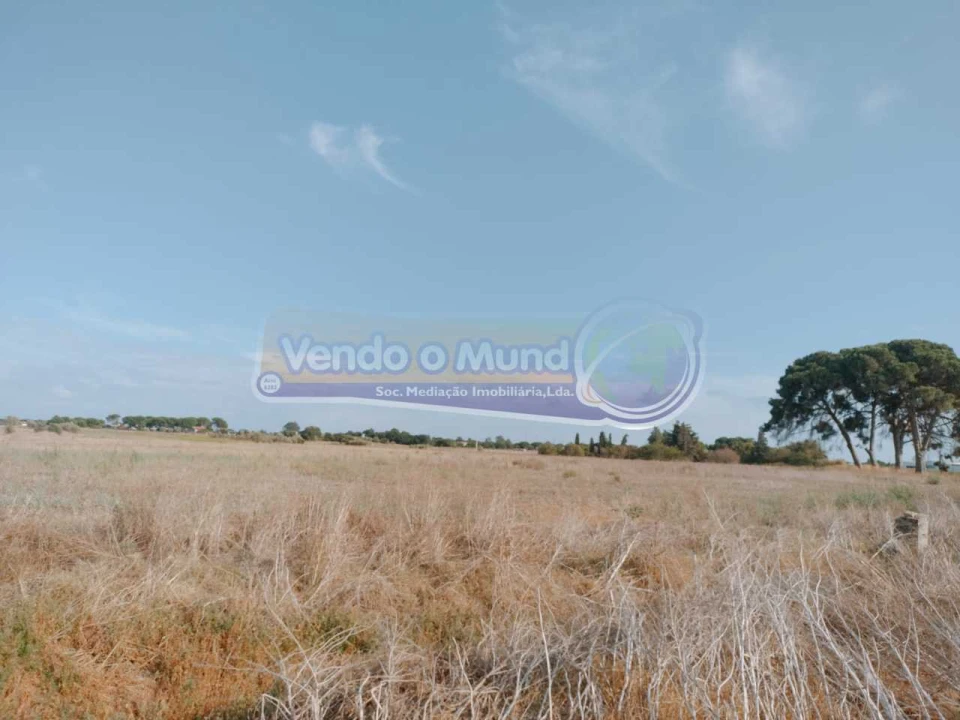 Terreno para Venda em Benavente Foto 2