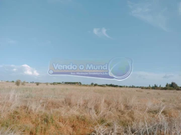 Terreno para Venda em Benavente