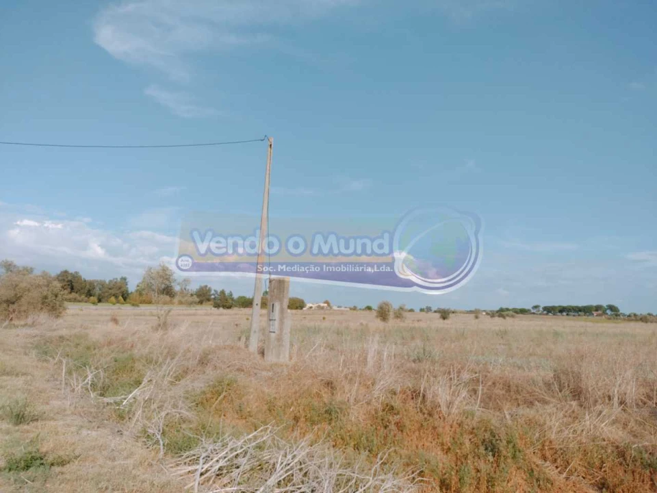 Terreno para Venda em Benavente Foto 3