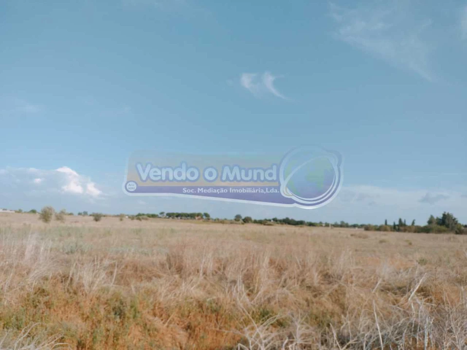 Terreno para Venda em Benavente Foto 1