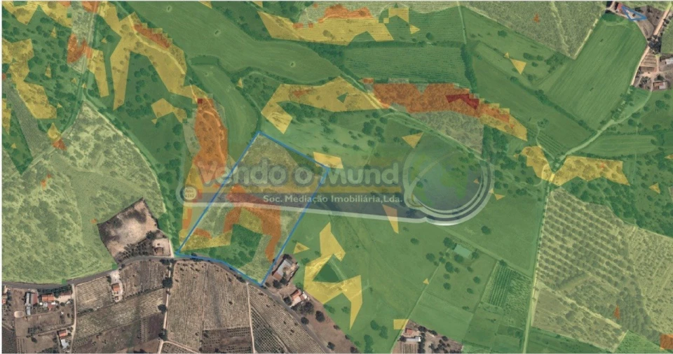 Terreno para Venda em São Jose da Lamarosa Foto 1