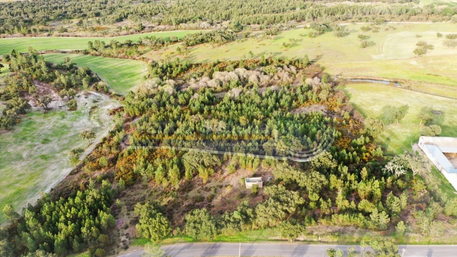 Terreno para Venda em São Jose da Lamarosa Foto 5