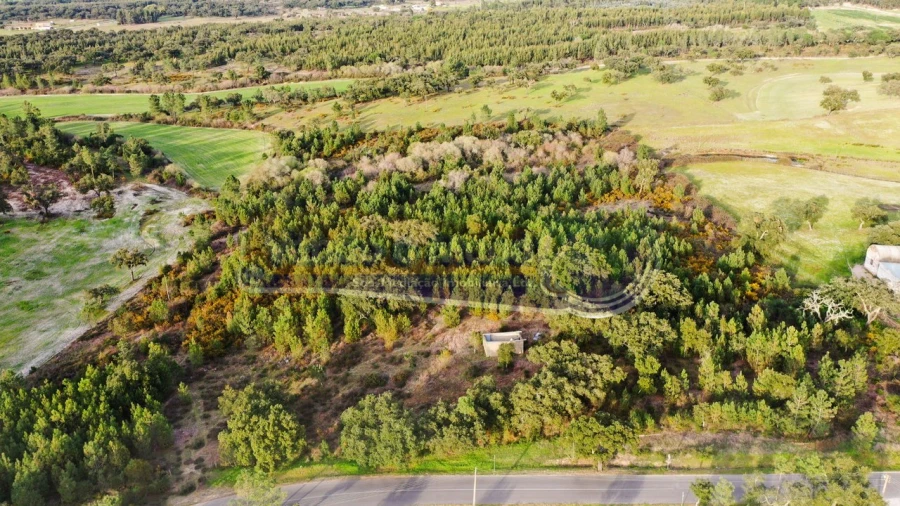 Terreno para Venda em São Jose da Lamarosa Foto 3