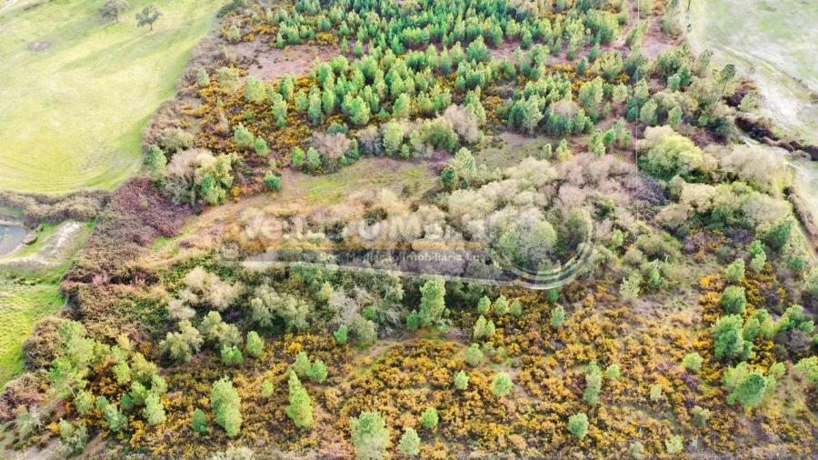 Terreno para Venda em São Jose da Lamarosa Foto 6