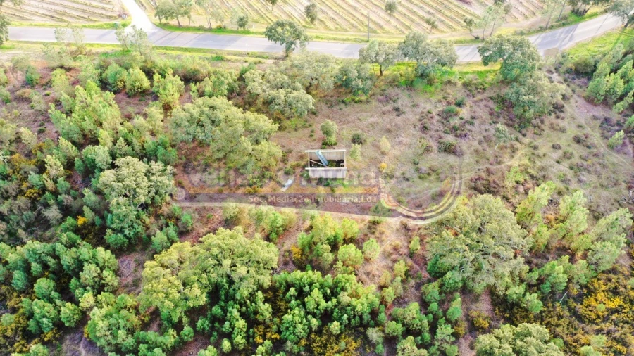 Terreno para Venda em São Jose da Lamarosa Foto 7