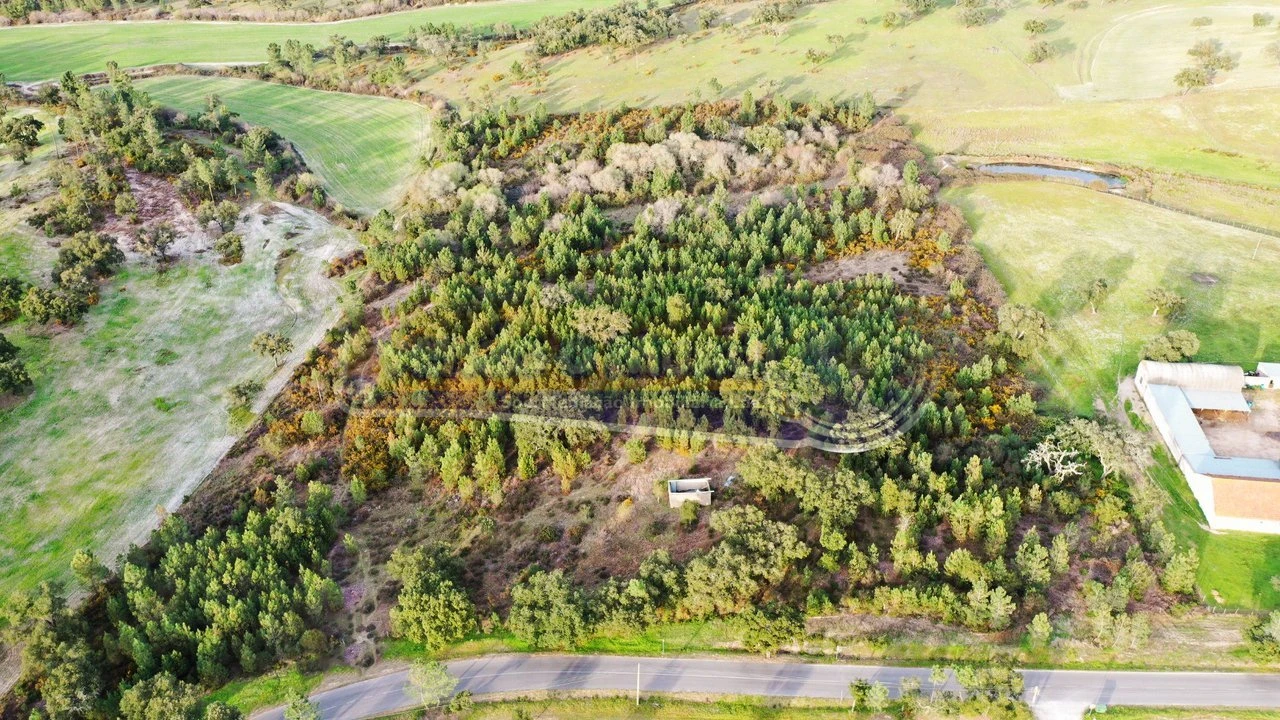 Terreno para Venda em São Jose da Lamarosa Foto 2