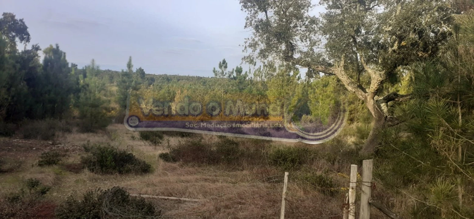 Terreno para Venda em São Jose da Lamarosa Foto 9