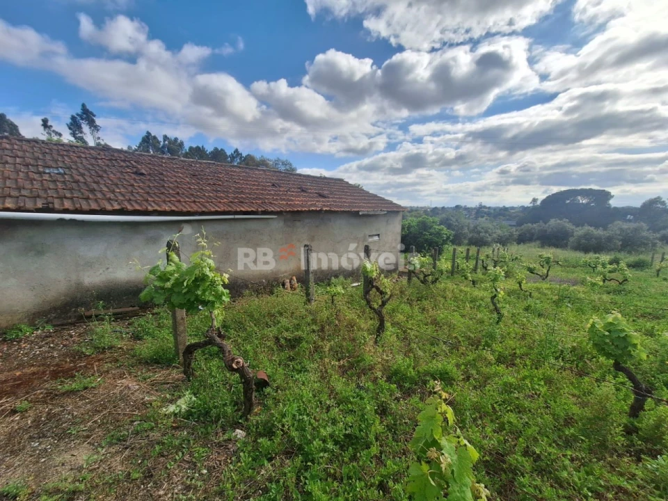 Quinta T4 para Venda em Casais e Alviobeira Foto 17