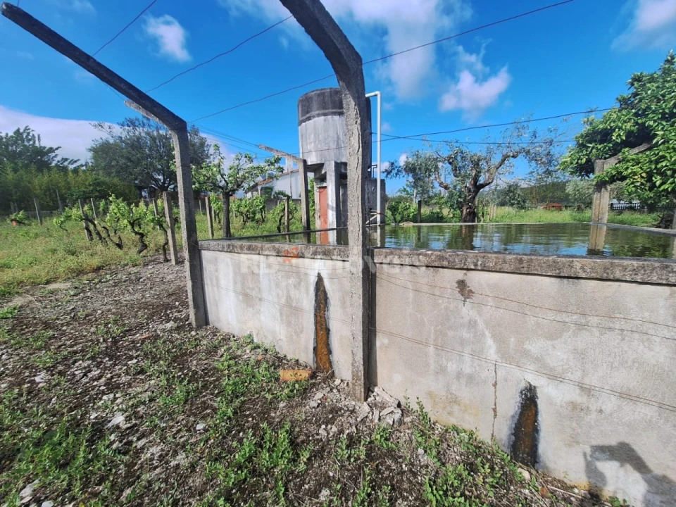 Quinta T4 para Venda em Casais e Alviobeira Foto 18