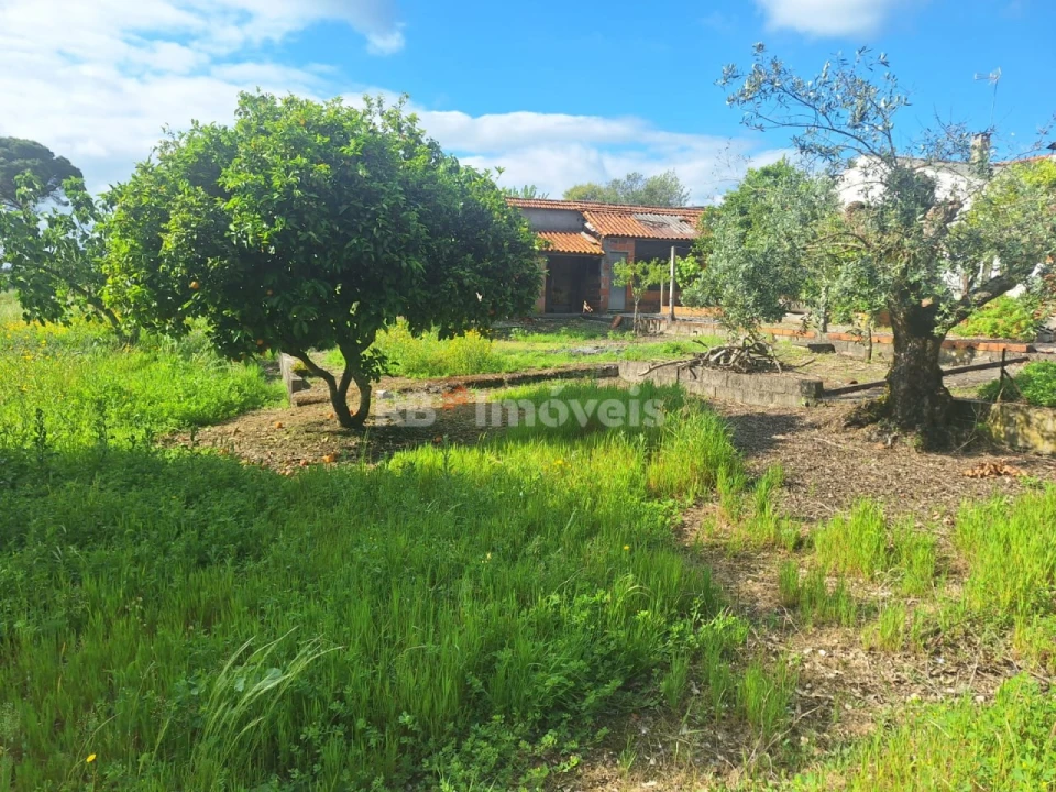 Quinta T4 para Venda em Casais e Alviobeira Foto 22