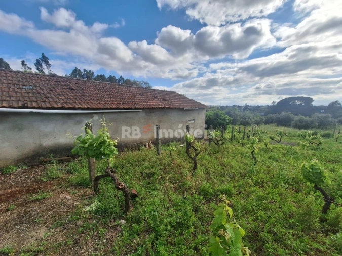 Quinta T4 para Venda em Casais e Alviobeira Foto 17