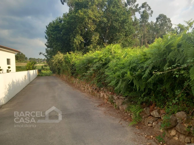 Terreno para Venda em Alvito (São Pedro e São Martinho) e Couto Foto 8