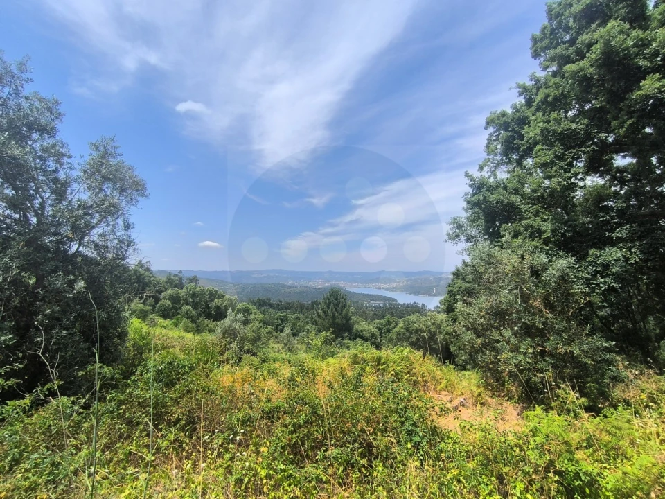 Prédio para Venda em Aldeia do Mato e Souto Foto 15