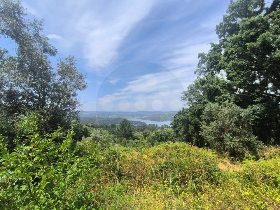 Prédio para Venda em Aldeia do Mato e Souto Foto 16