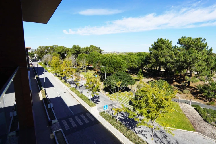 Apartamento T1 para Venda em Carvalhal Foto 25