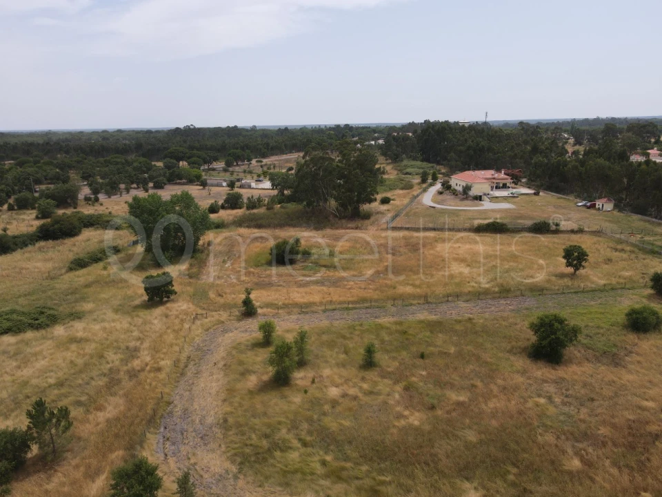 Terreno para Venda em Santo Estêvão Foto 15