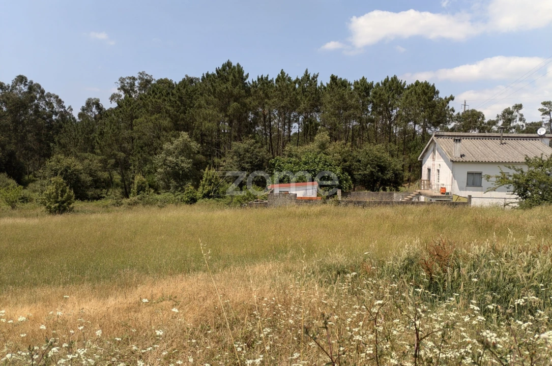 Terreno para Venda em Maceira Foto 1
