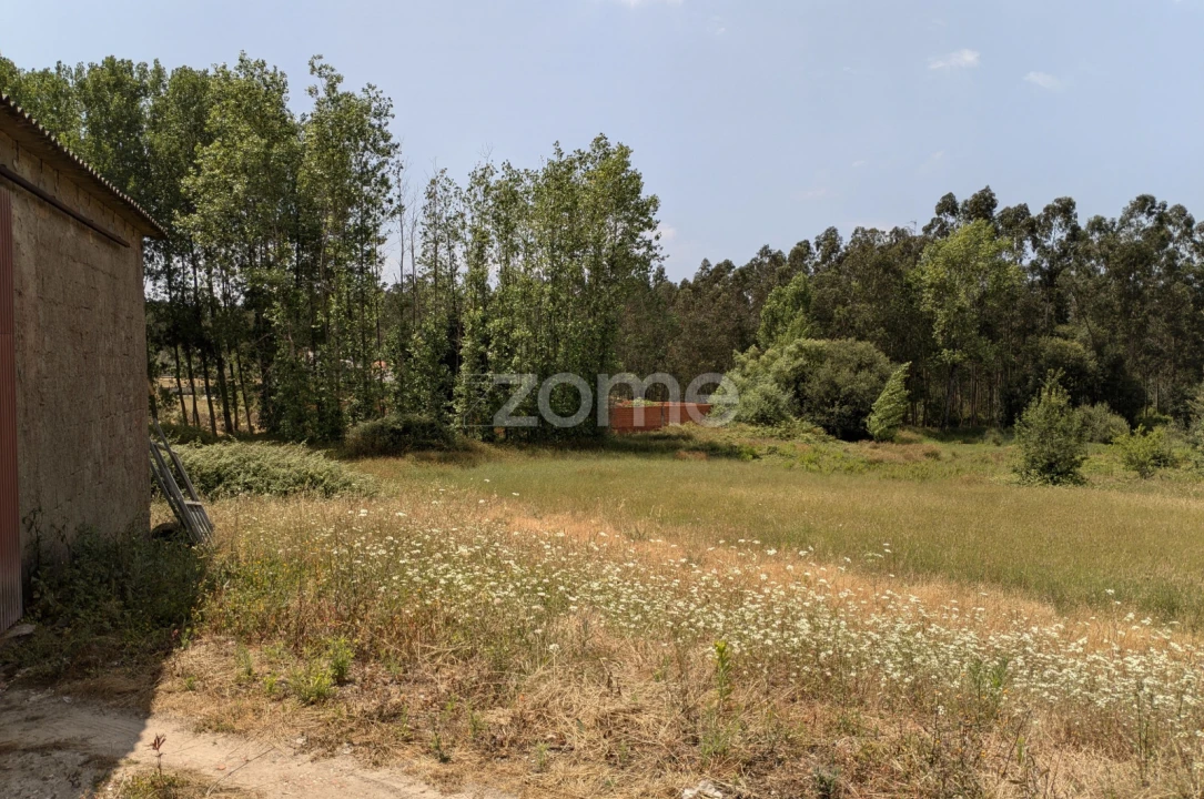 Terreno para Venda em Maceira Foto 3