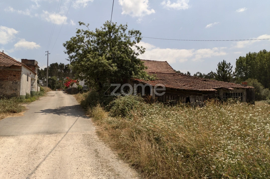 Terreno para Venda em Maceira Foto 12