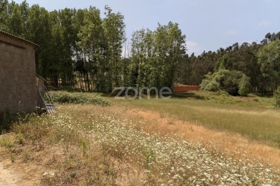 Terreno para Venda em Maceira