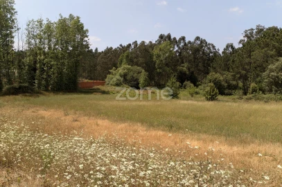 Terreno para Venda em Maceira