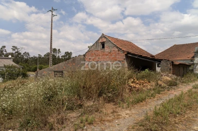 Terreno para Venda em Maceira