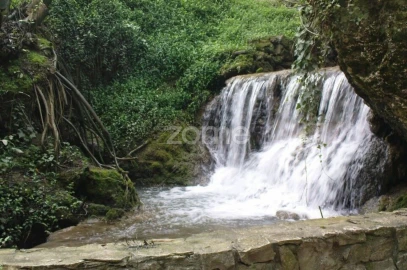 Terreno para Venda em Maceira