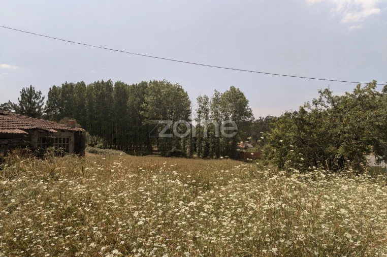 Terreno para Venda em Maceira Foto 5