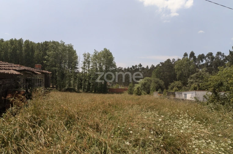 Terreno para Venda em Maceira Foto 4