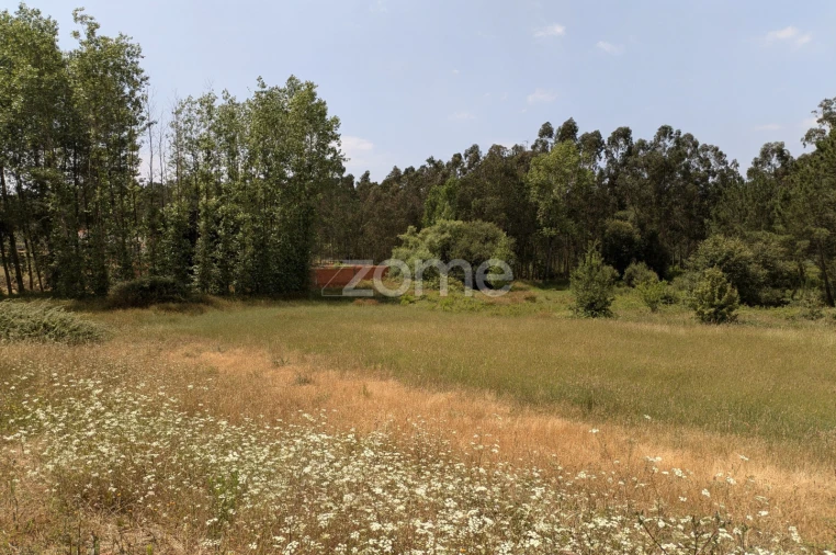 Terreno para Venda em Maceira Foto 6