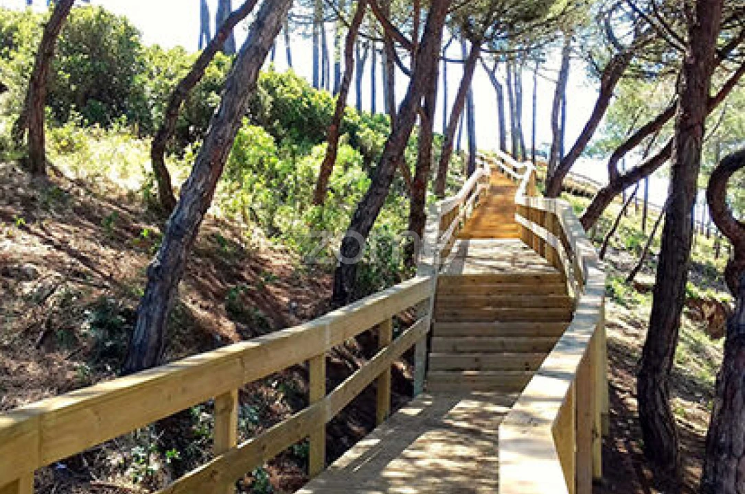 Terreno para Venda em Maceira Foto 18