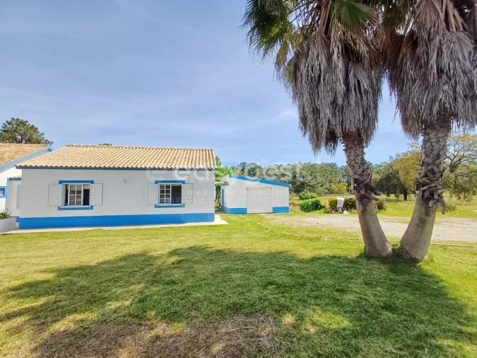 Quinta T4 para Venda em Azeitão (São Lourenço e São Simão) Foto 30
